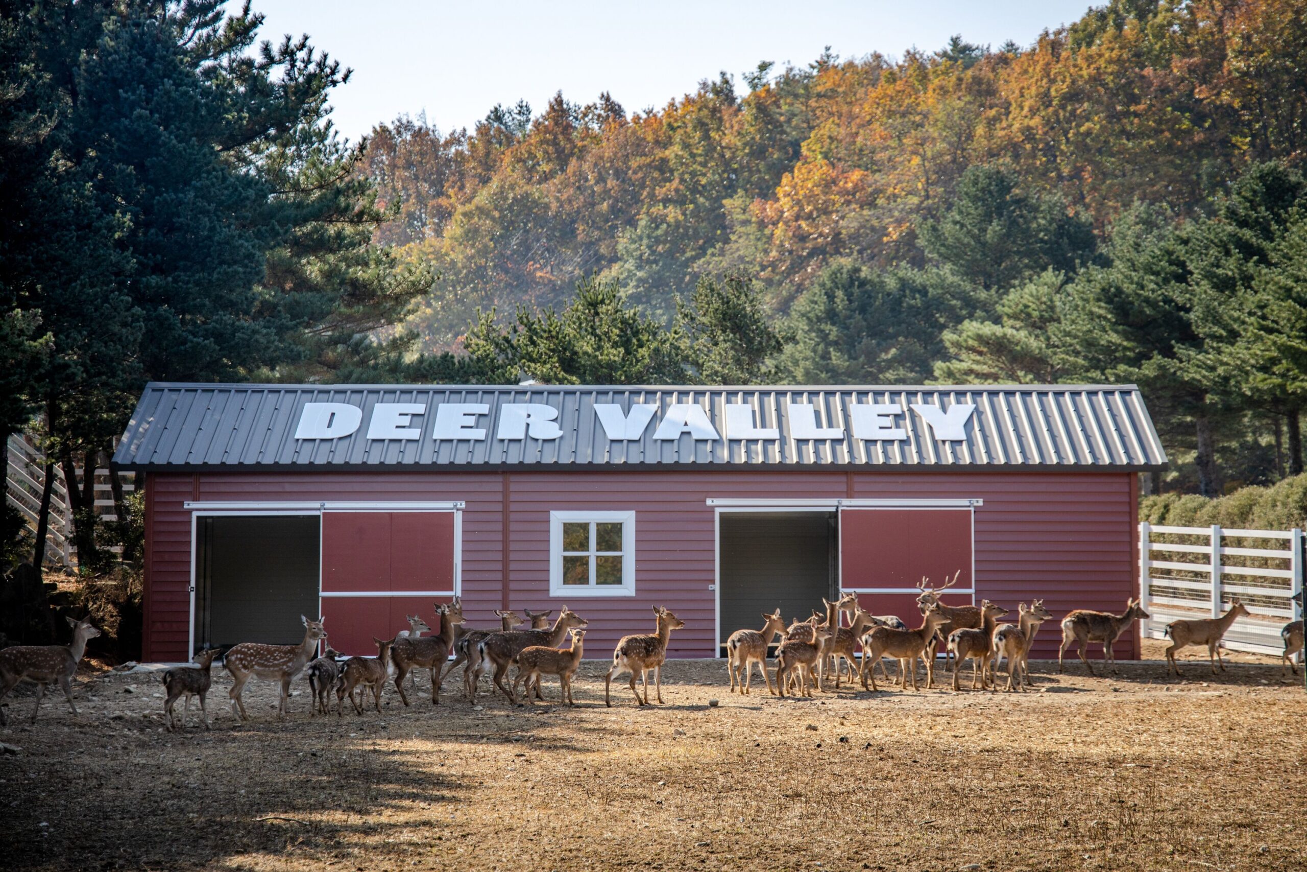 강원도숙소추천,켄싱턴리조트설악밸리