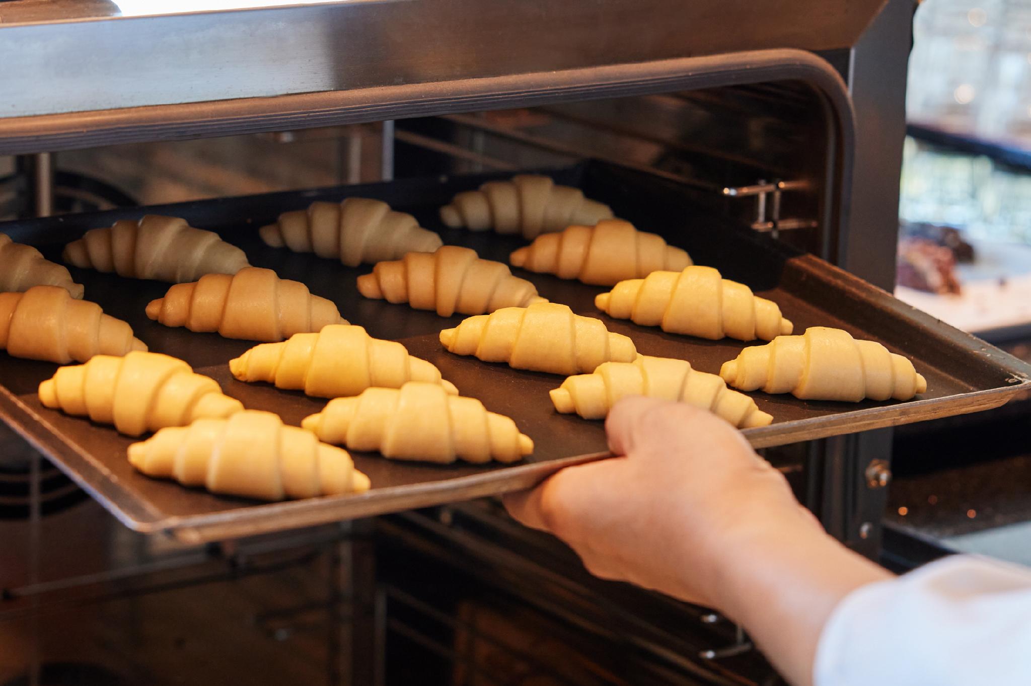 제주위호텔,제주수영장호텔