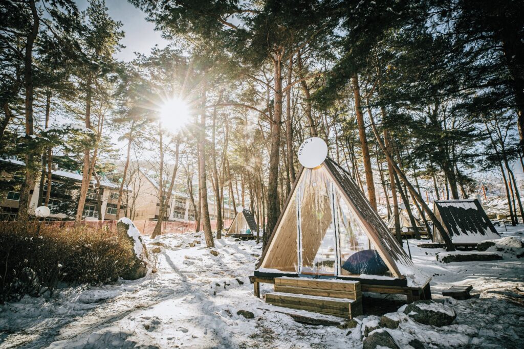 휘닉스 평창 리조트, 강원도호텔추천