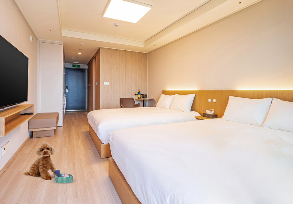 속초 아이파크 스위트 호텔, 강원도호텔추천