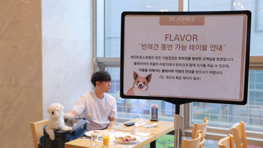 세인트존스 호텔, 강원도호텔추천