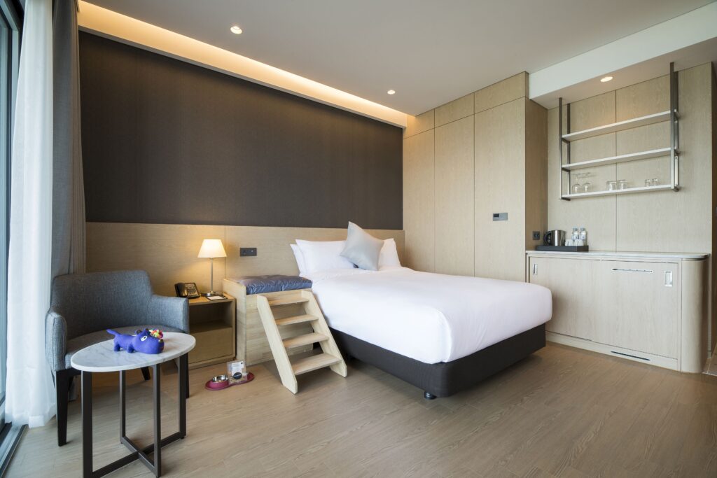 세인트존스 호텔, 강원도호텔추천