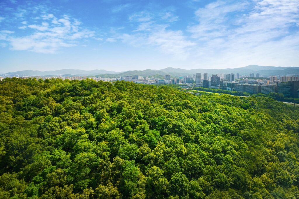 더블트리 바이 힐튼 서울 판교, 판교 호텔 추천