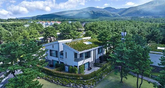엠버퓨어힐 호텔&리조트 제주 이미지 8