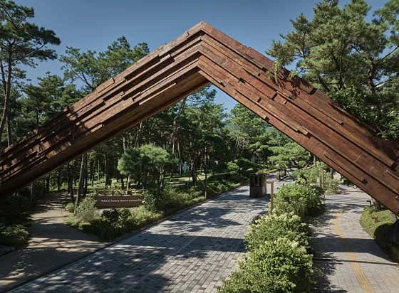 안토 이미지 12
