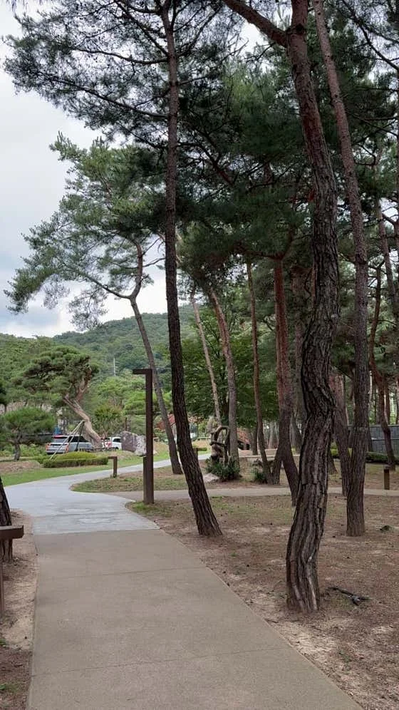 안토 이미지 14