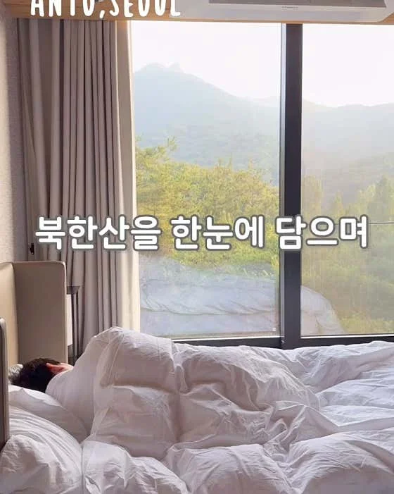 안토 이미지 17