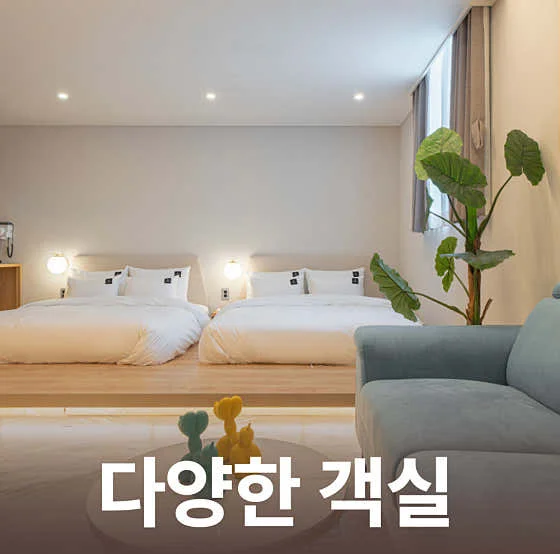 브라운도트 강릉역점 이미지 6