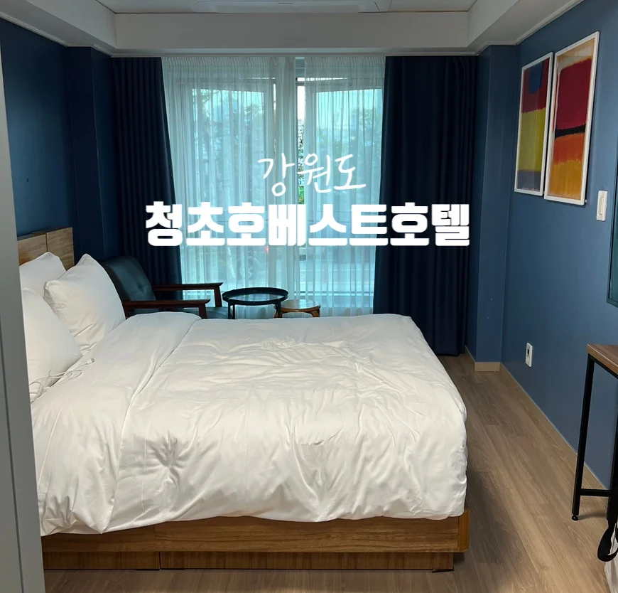 청초호베스트호텔 이미지 16