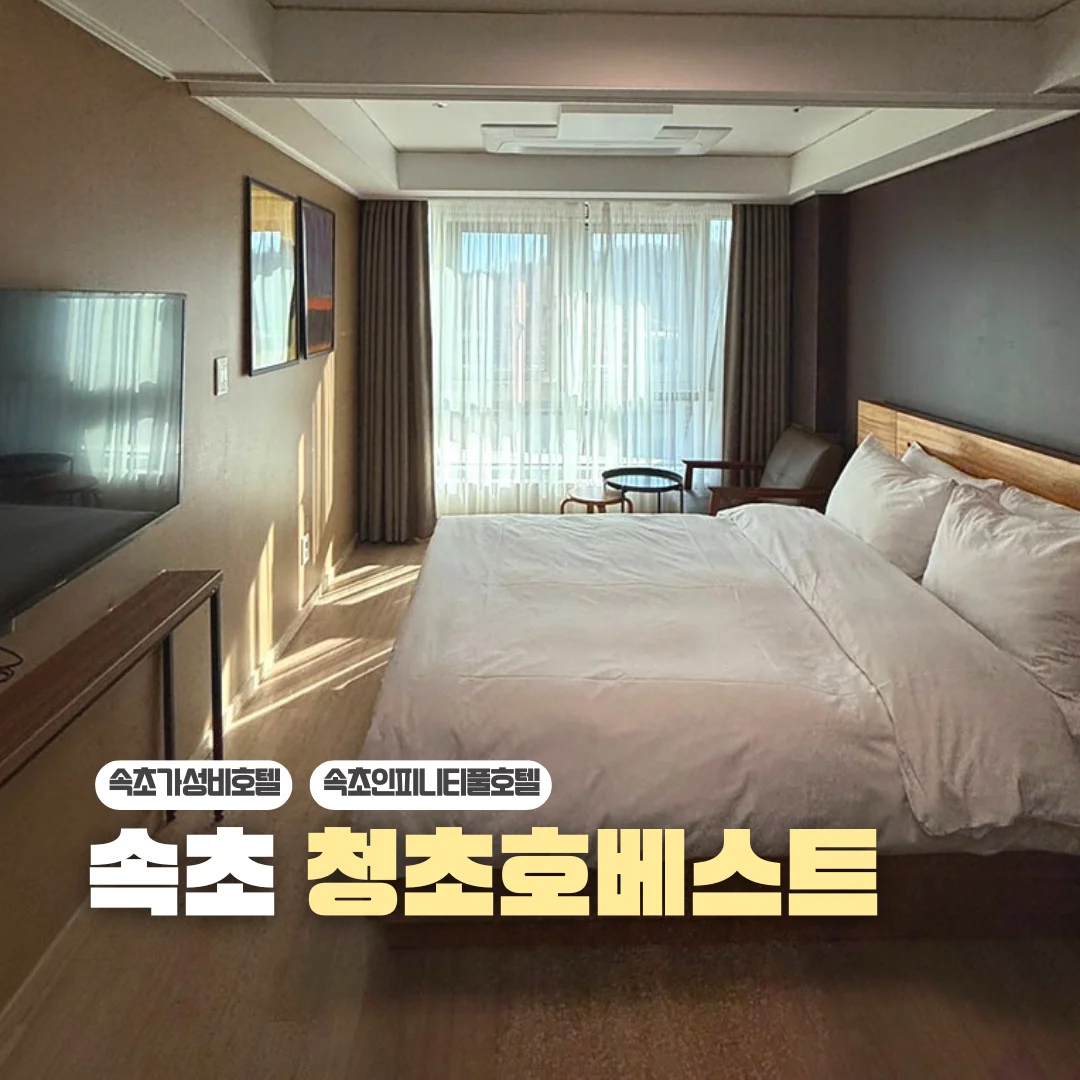 청초호베스트호텔 이미지 9