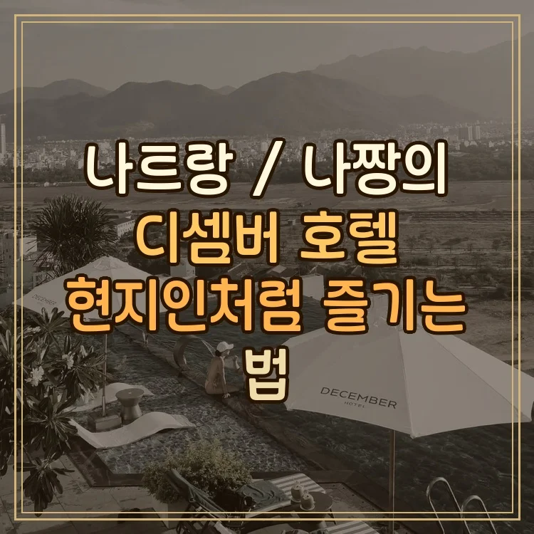 디셈버 이미지 20