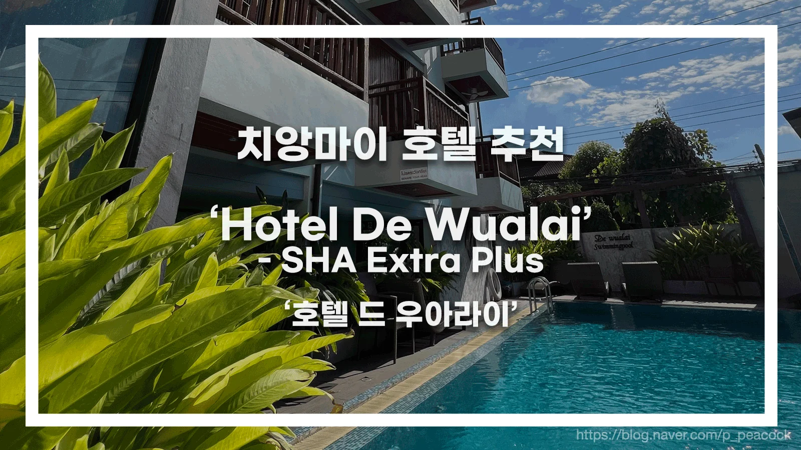 이스티 호텔 (SHA Extra Plus) 이미지 7