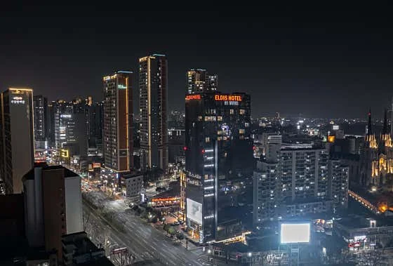 엘디스 리젠트 호텔 이미지 14