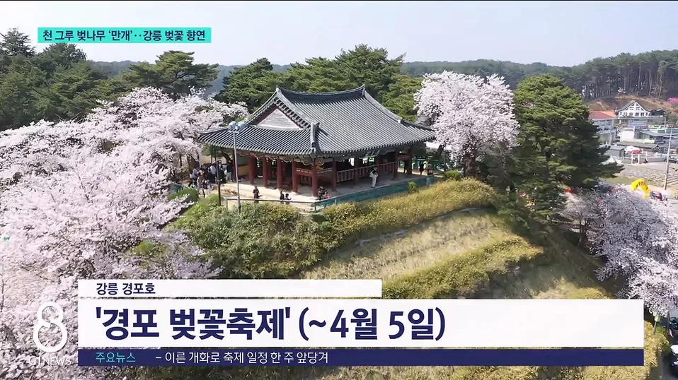 그루 이미지 4
