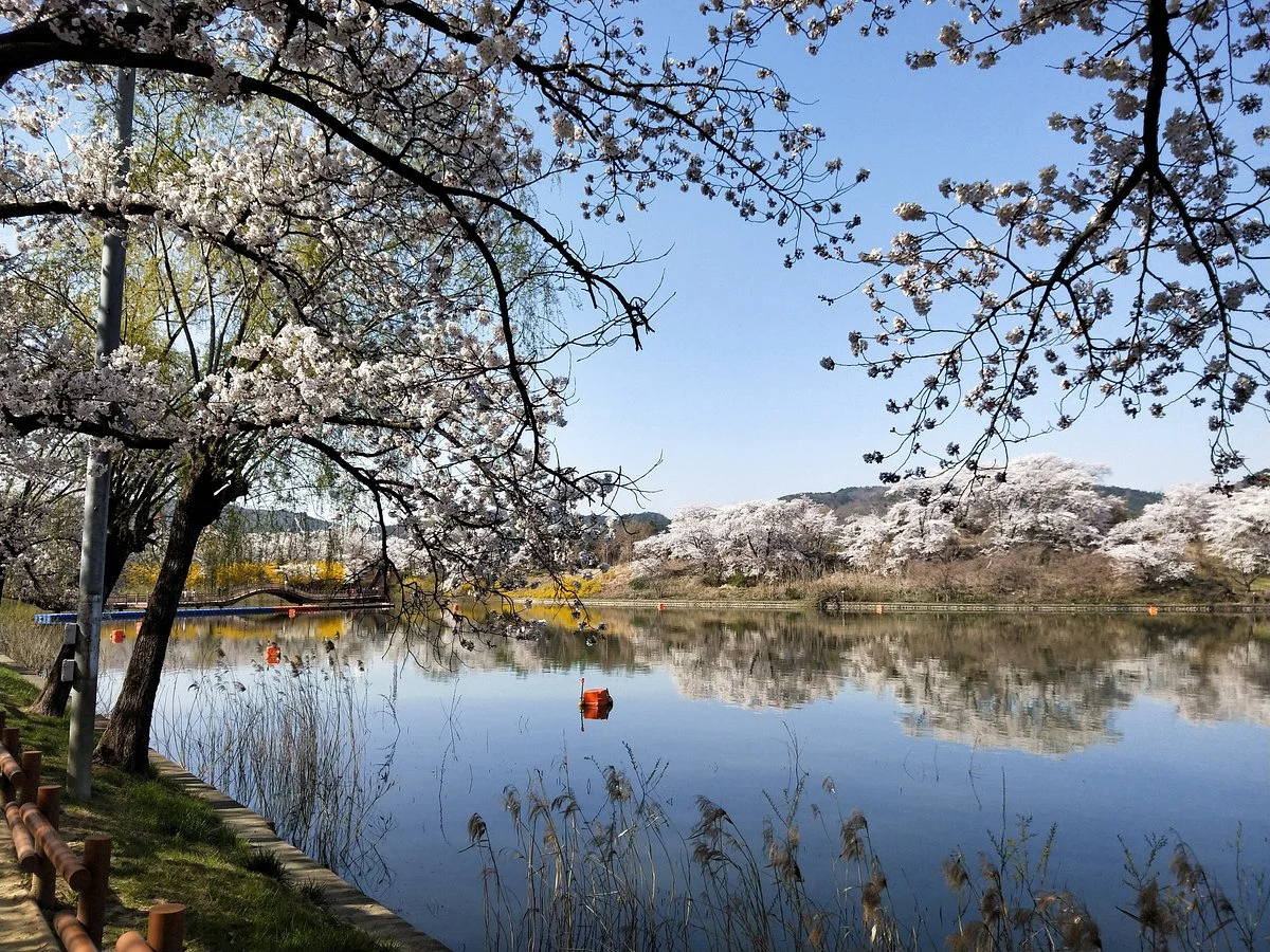 Gyeongju Guesthouse Huewon 이미지 10