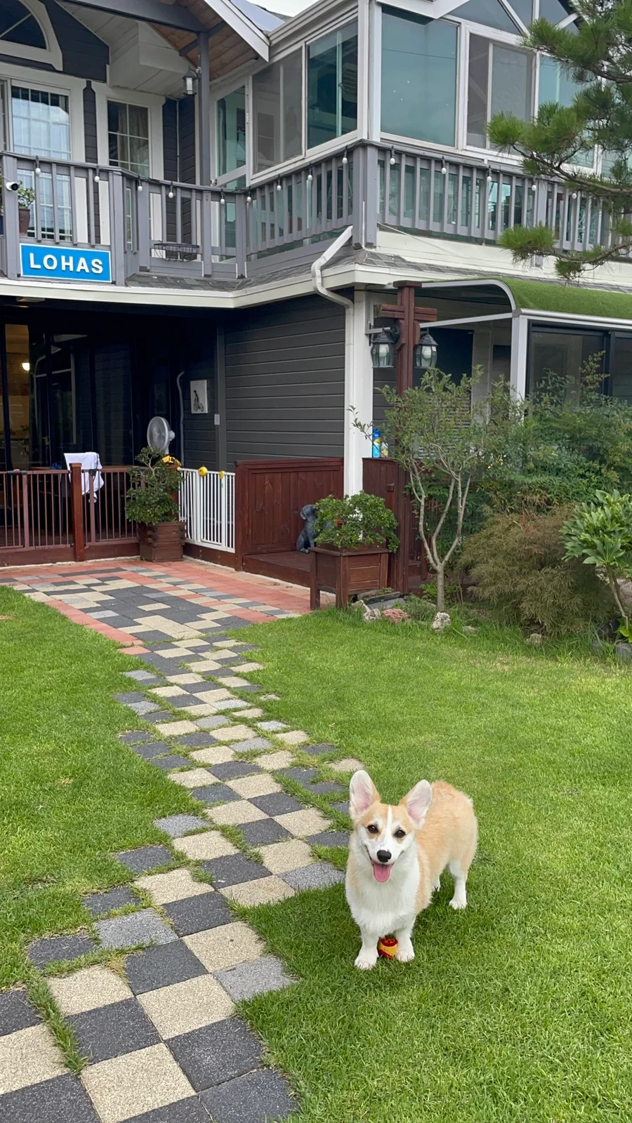 Gyeongju Lohas pet Pension 이미지 16