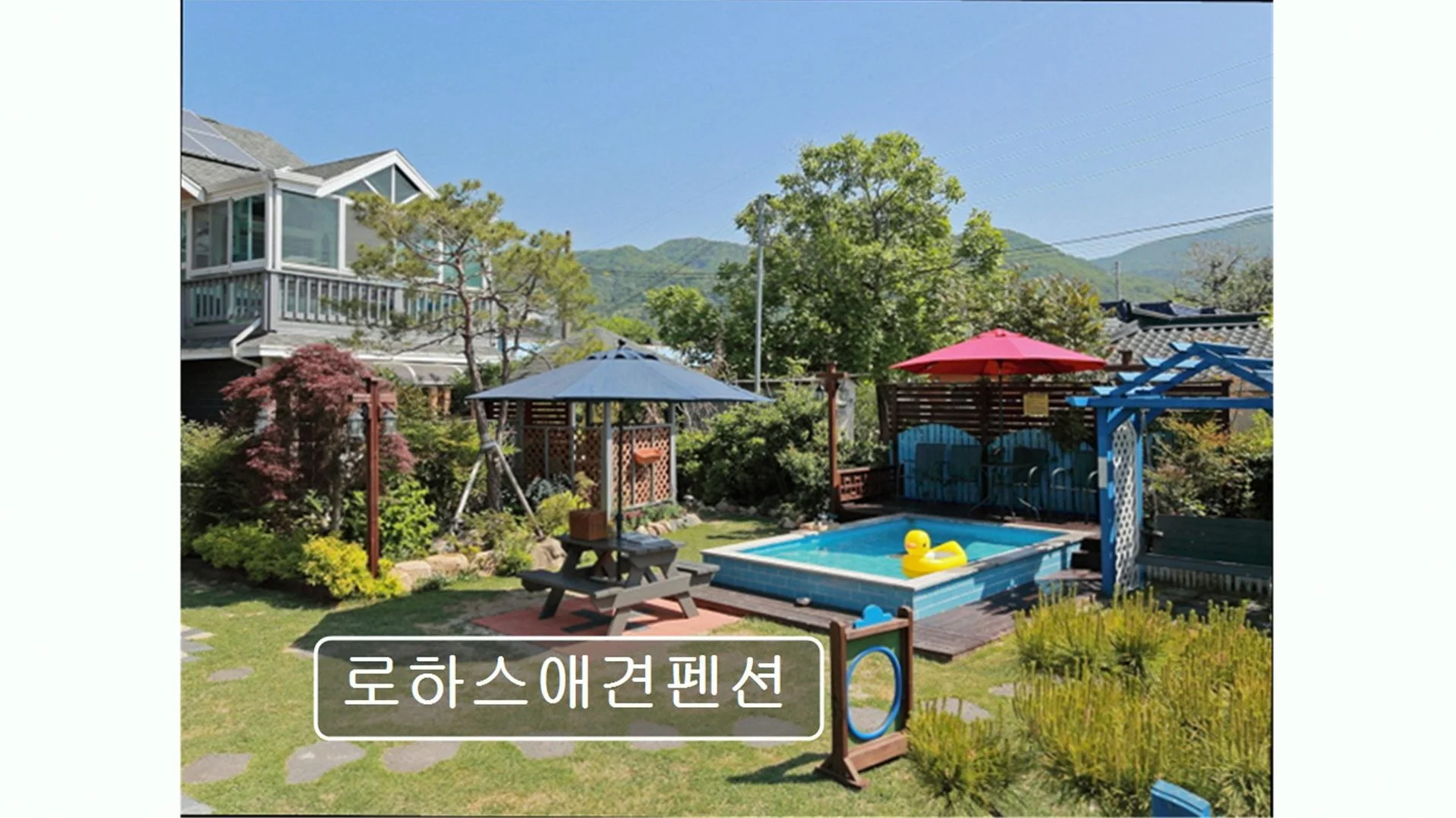 Gyeongju Lohas pet Pension 이미지 7