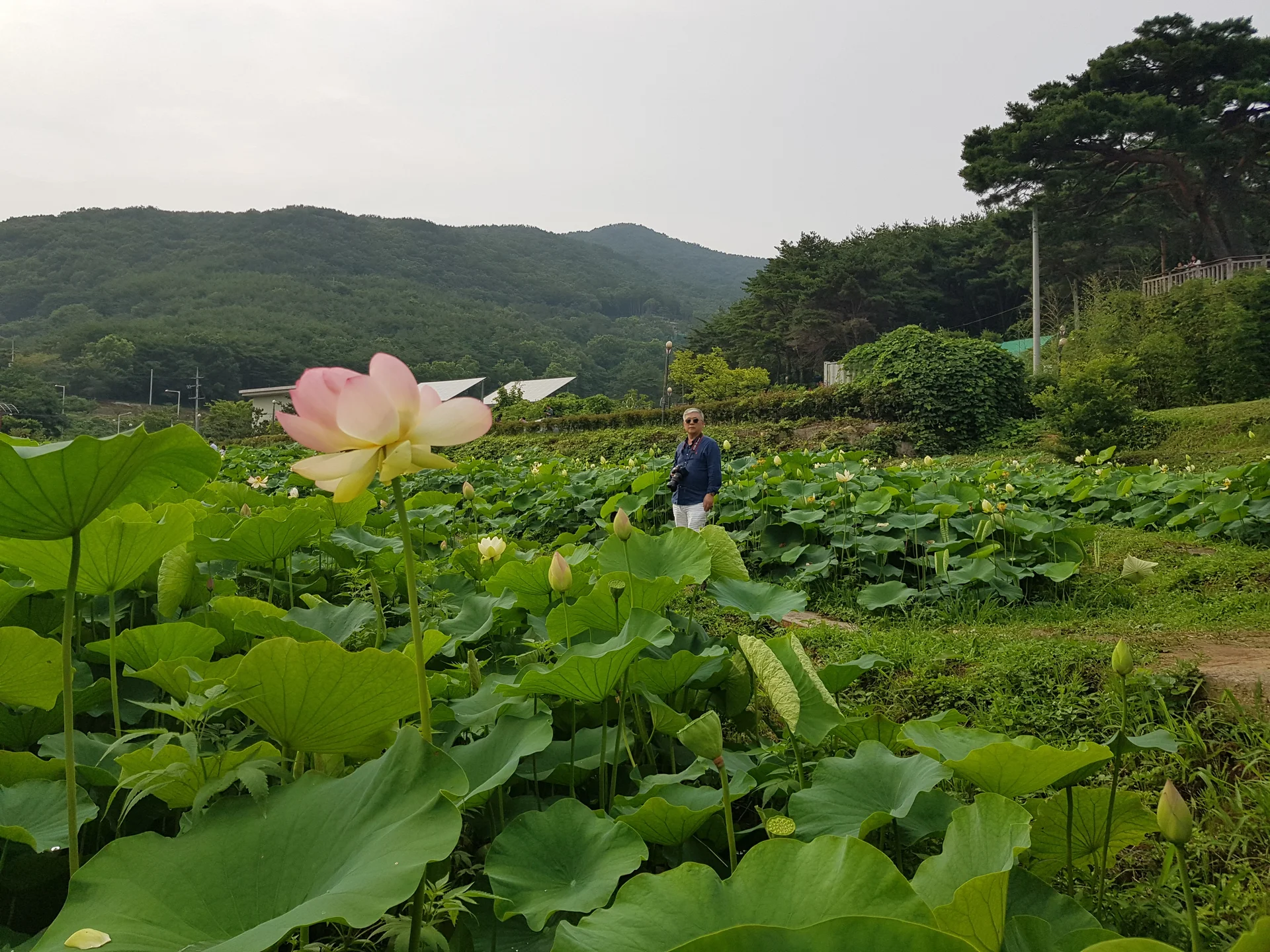힐튼호텔 경주 이미지 15