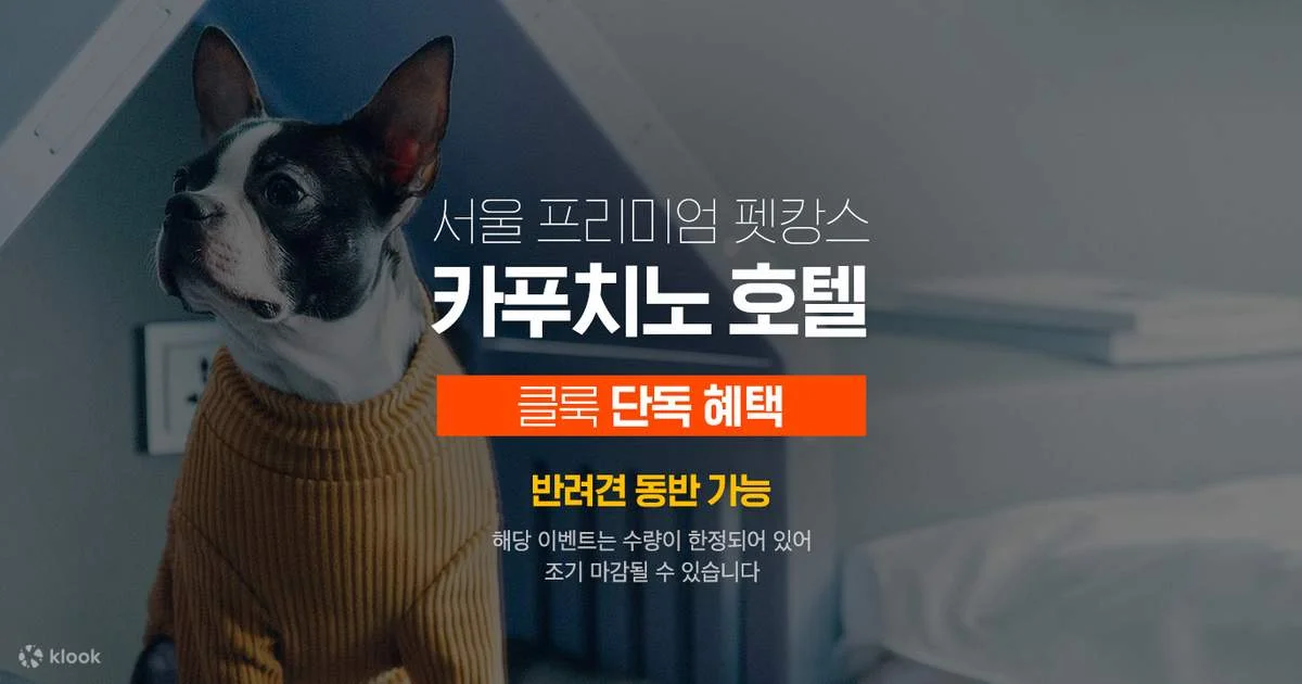 호텔 카푸치노 서울 이미지 19