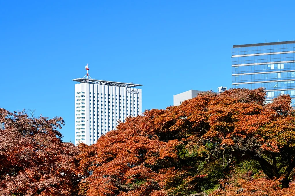 호텔 센추리 서던 타워 이미지 8