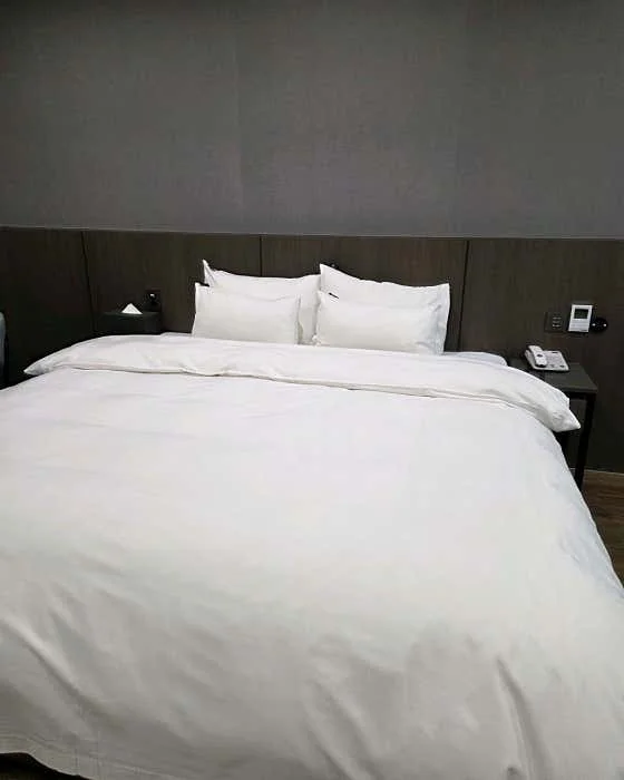 호텔 폭스 아트홀 이미지 10