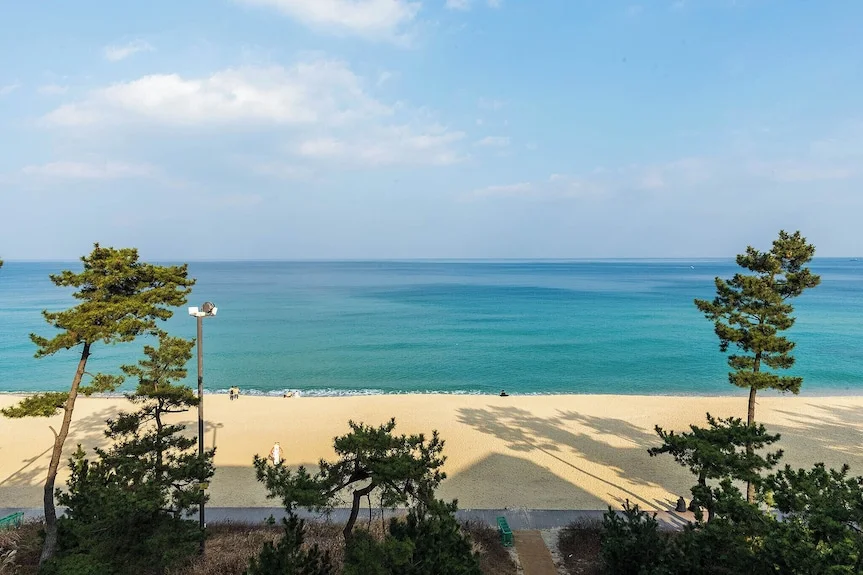 강릉호텔 큐브호텔 경포대본점 이미지 5