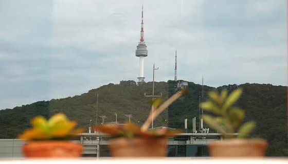 호텔 스카이파크 명동 3호점 이미지 4