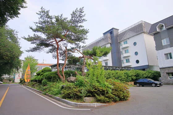 호텔 발렌타인 이미지 19