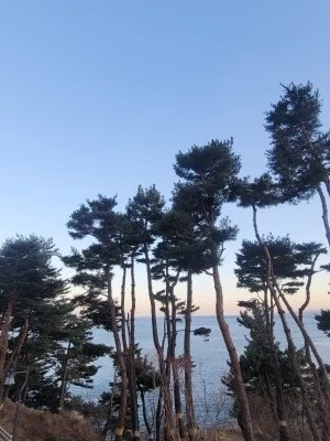 제주노블레스관광호텔 이미지 5