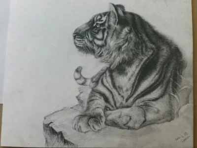 KW Pencil 이미지 11