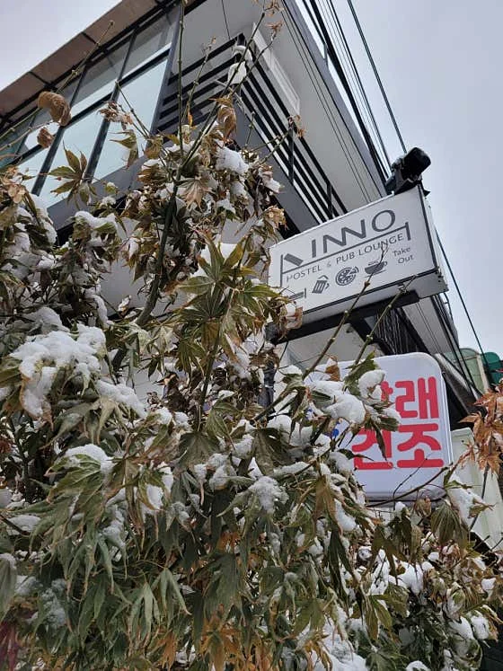 리 & 노 게스트하우스 이미지 15