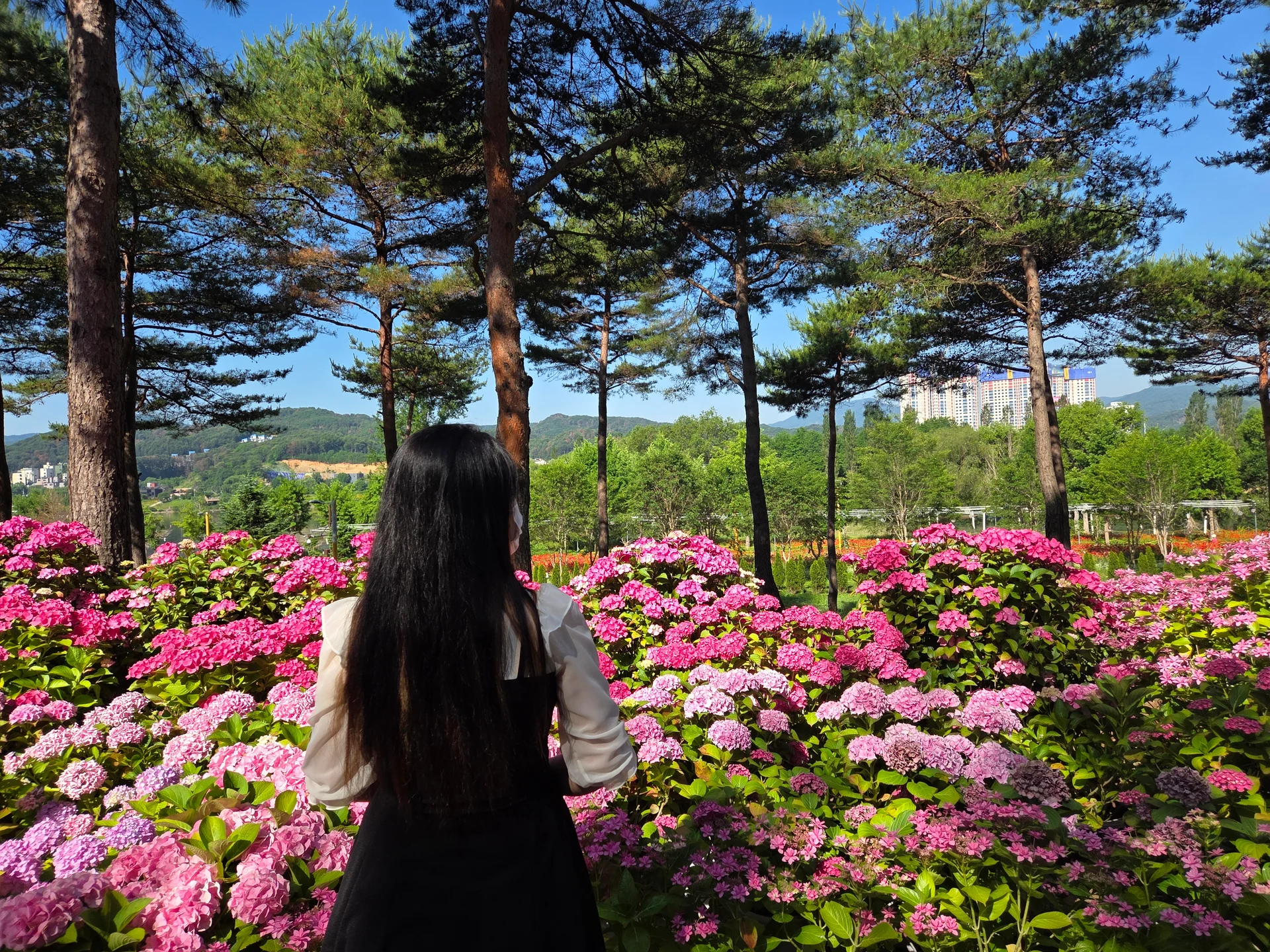 롯데시티호텔 대전 이미지 15