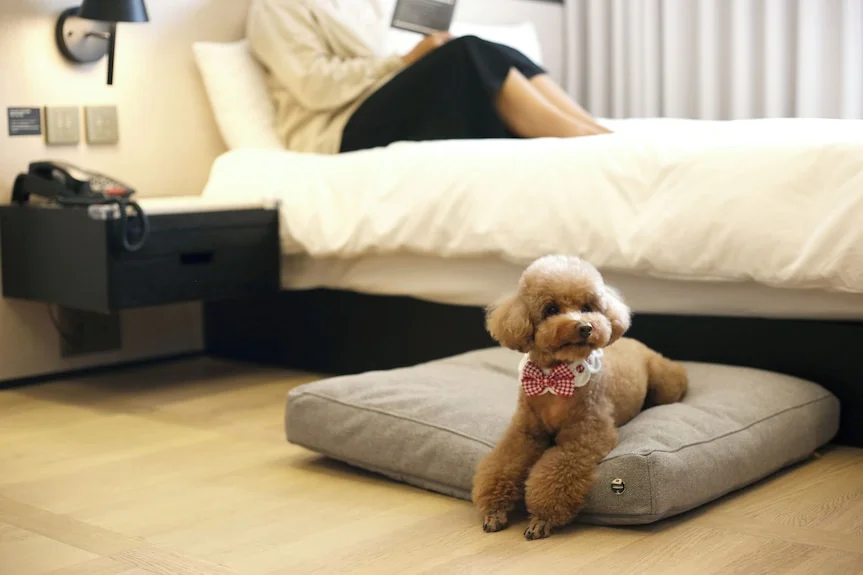 메종 글래드 제주 피트니스