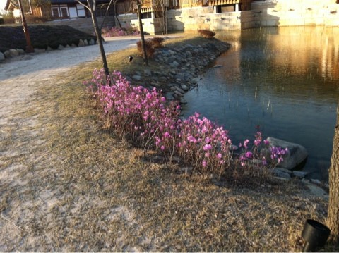 Millennium Palace Resort & Spa Ragung 이미지 15