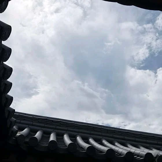 라궁 이미지 9