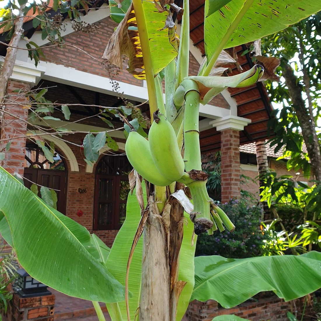 Ong Lang Resort Phu Quoc 이미지 11