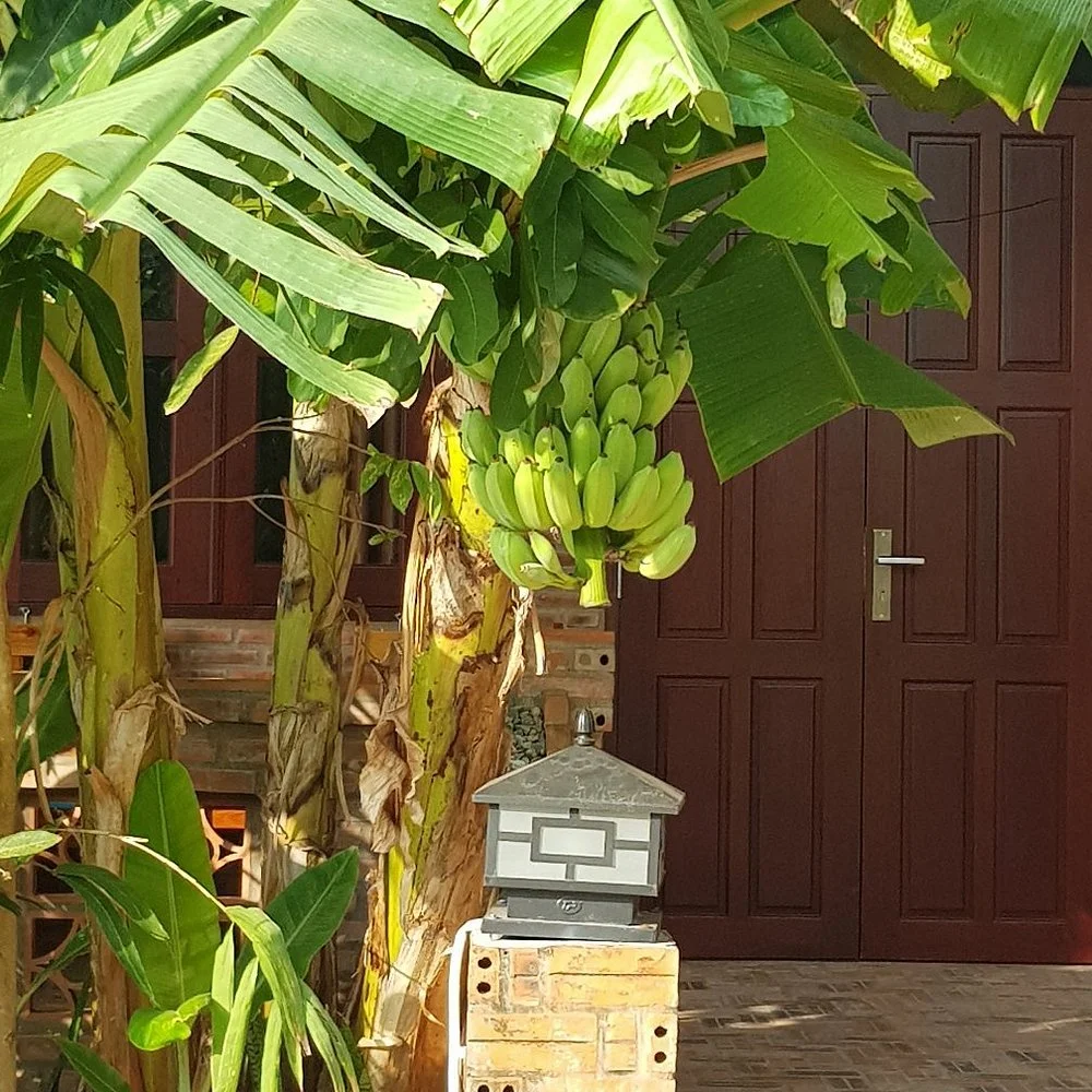Ong Lang Resort Phu Quoc 이미지 6