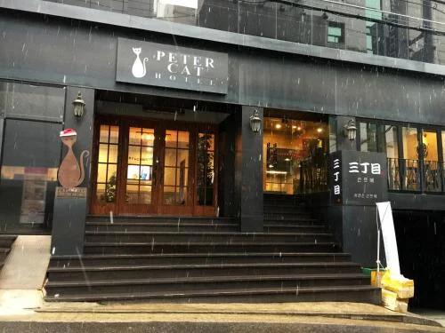 홍대 피터캣 호텔 신촌(홍대) 객실