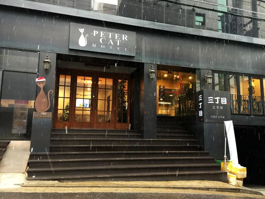 피터캣 호텔 신촌(홍대) 주변 환경