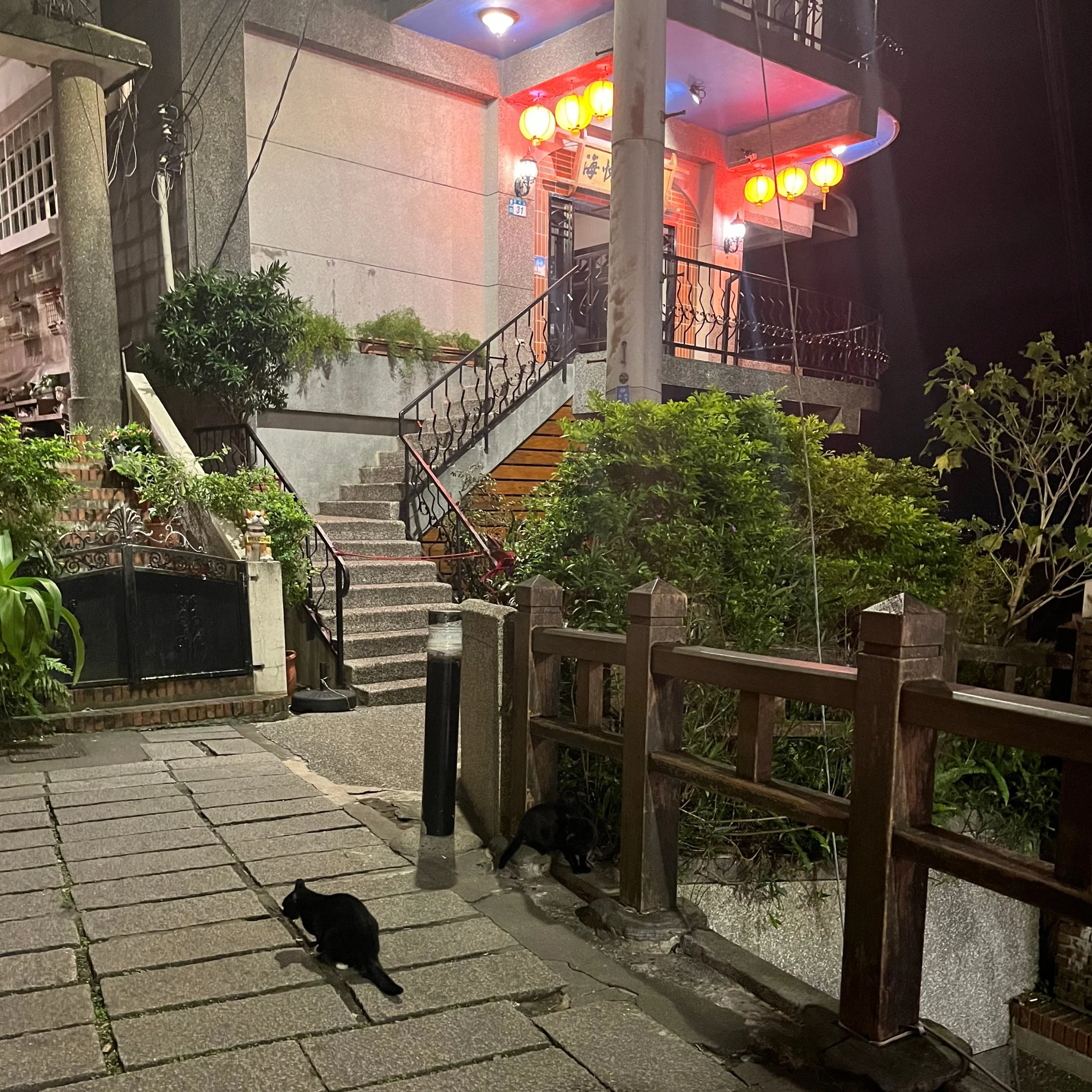 치우 춘트 딘트 인 이미지 19
