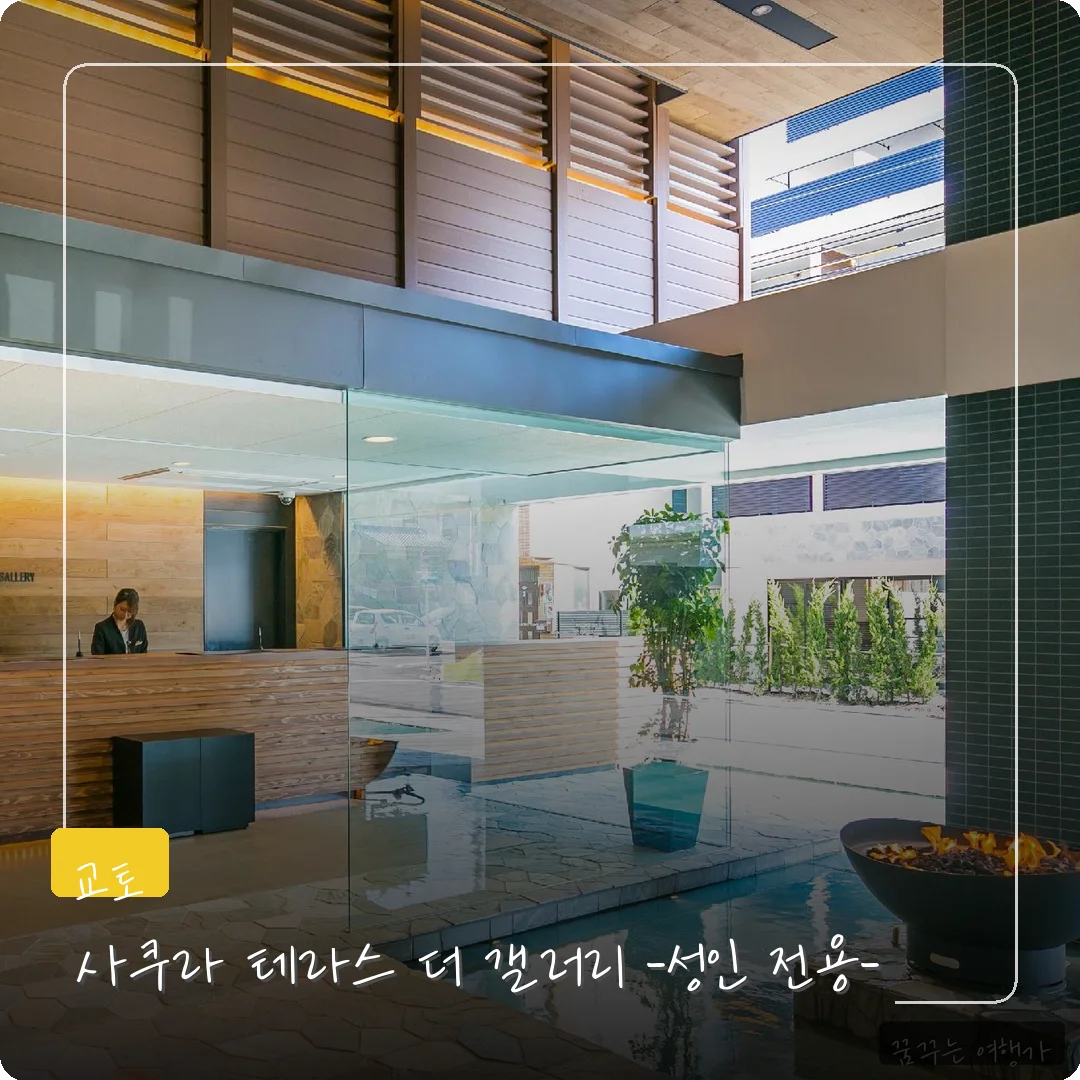사쿠라 테라스 이미지 8