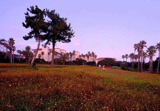 소노캄 제주 이미지 10