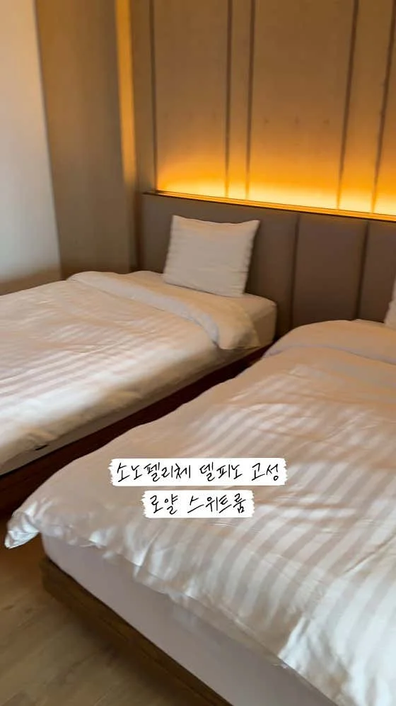 소노펠리체 델피노 이미지 13