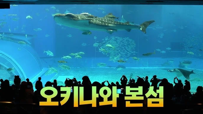 서던 비치 호텔 앤 리조트 오키나와 회의실