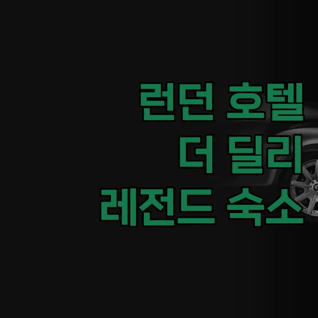 더 딜리 이미지 16