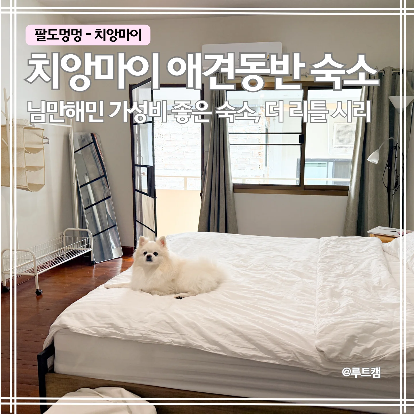 더 리틀 시리 이미지 6