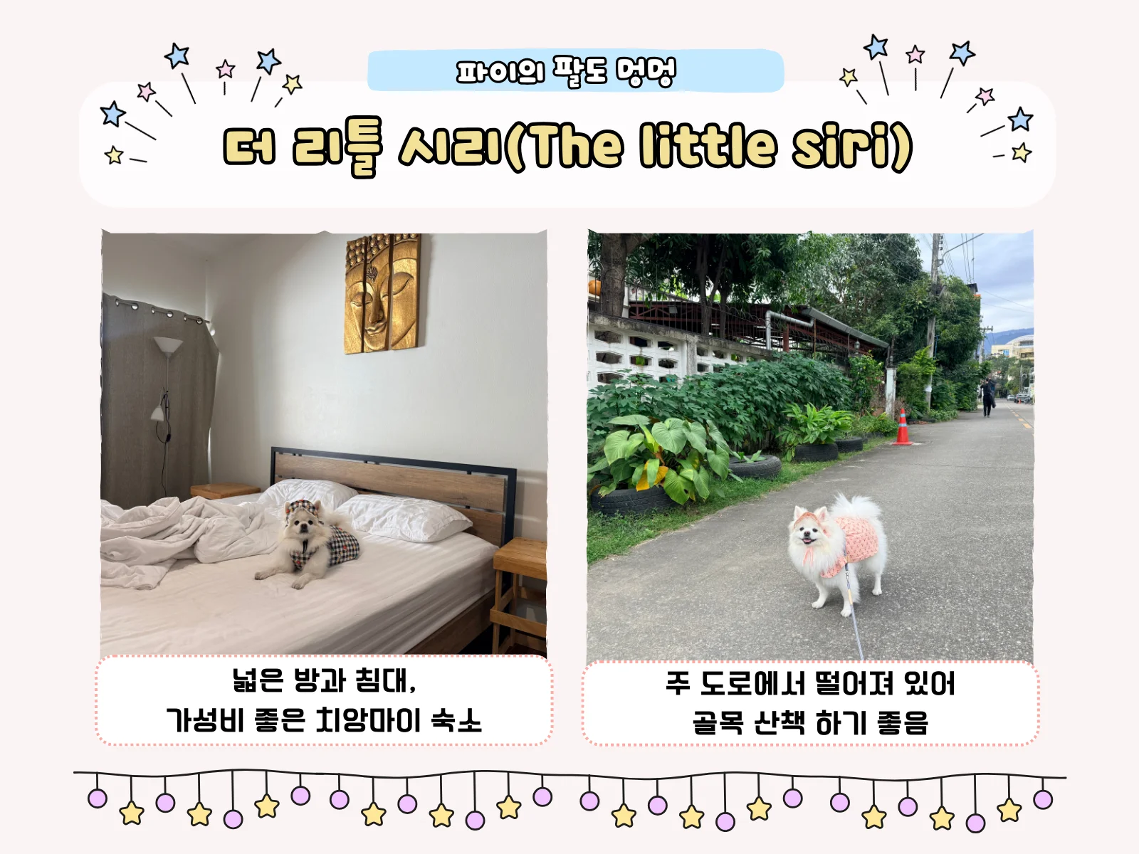 더 리틀 시리 이미지 8