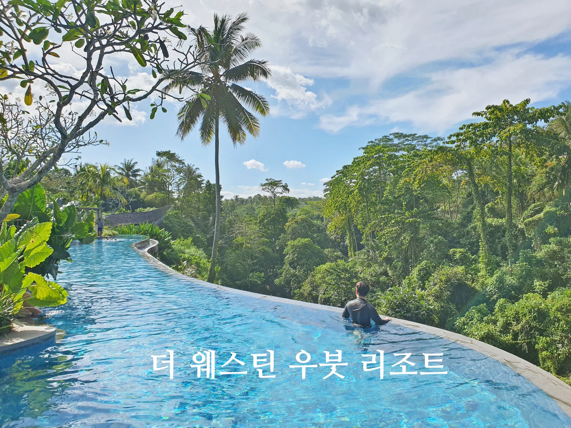 더 웨스틴 리조트 & 스파 우붓, 발리 이미지 20