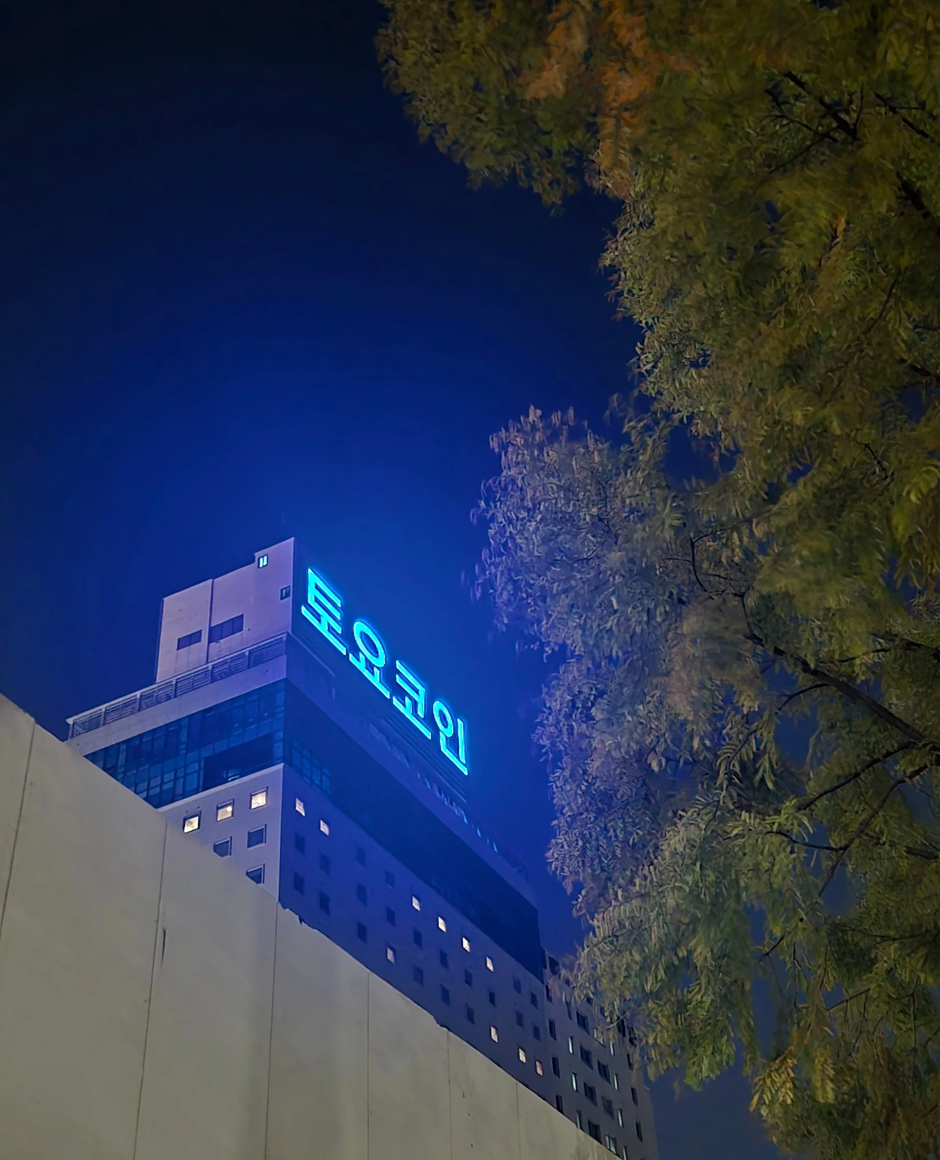토요코인호텔 대전정부청사앞 이미지 17