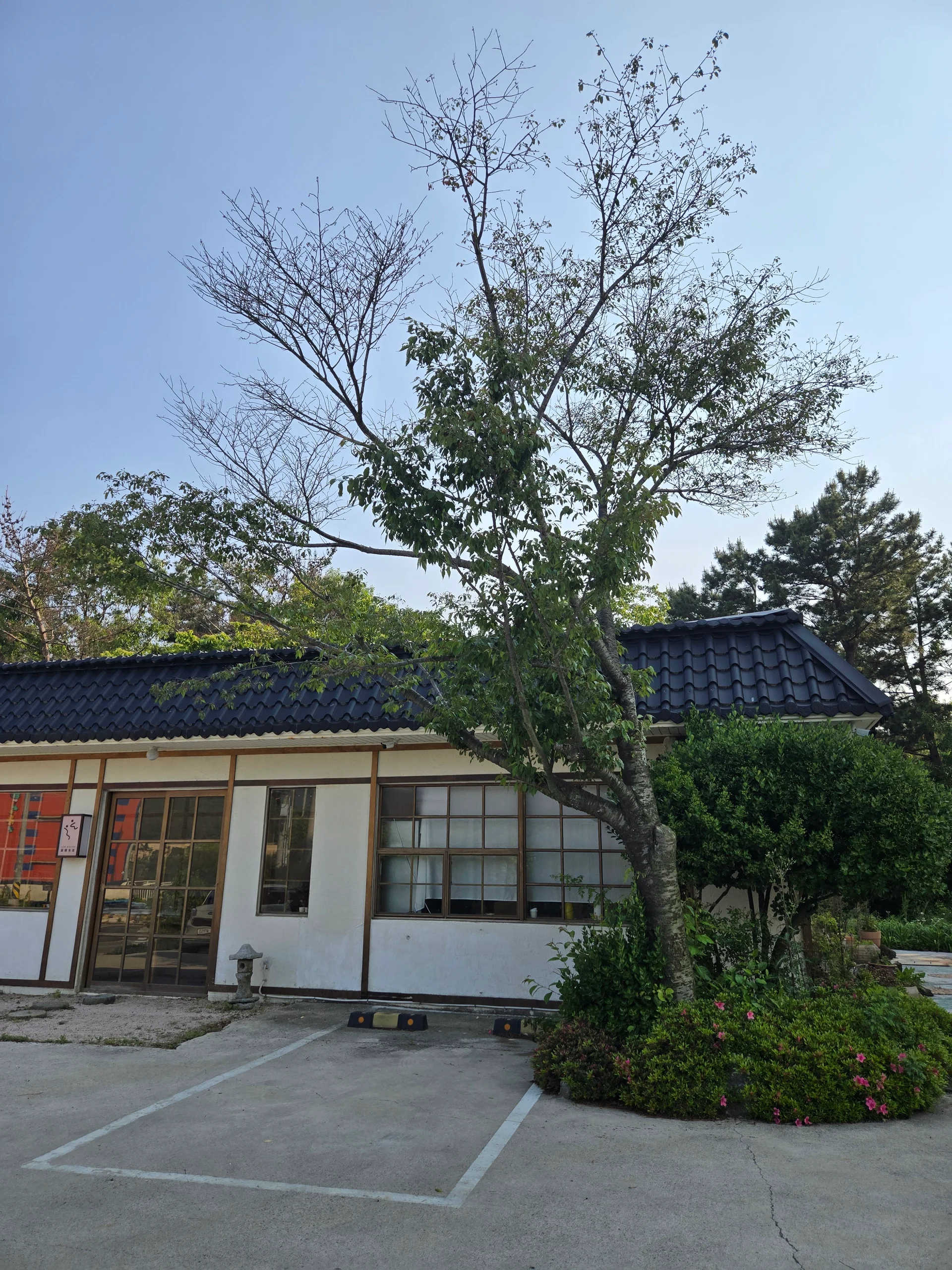유온 이미지 12